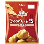 カルビー じゃがいも感。まろみ岩塩味 60g