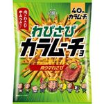 湖池屋 わびさびカラムーチョ 肉ウマわさび 92g