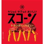 湖池屋 小袋スコーン やみつきバーベキュー 22g