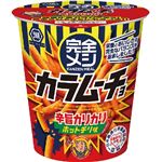 湖池屋 完全メシカラムーチョホットチリ味 38g
