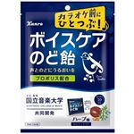 カンロ ボイスケアのど飴 70g