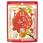 カンロ やわらかはちみつ梅 40g
