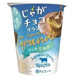 ブルボン じゃがチョコグランデリッチミルク 48g