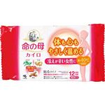 小林製薬 命の母カイロ 貼るタイプ 10個入