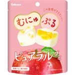 カバヤ ピュアラルグミ りんご 58g