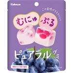 カバヤ ピュアラルグミ ぶどう 58g