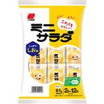 三幸 ミニサラダ しっかりしお味 2枚×12袋入