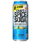 サッポロ クラフトスパイスソーダ 6％ 500ml