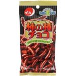 でん六 とってもEサイズ 柿の種チョコ 34g