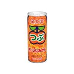 金太洋 粒オレンジドリンク 250g