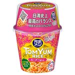日清 完全メシ トムヤムライス スープごはん 109g