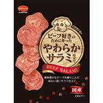 日本ペットフード ビタワン君のビーフ好きのために作ったやわらかサラミ仕立て 70g【犬用】