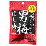 ノーベル 男梅ほし梅 20g