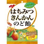 ノーベル はちみつきんかんのど飴 110g