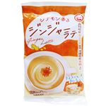 樋口 ジンジャーラテ 15g×4袋入