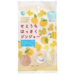 樋口 せとうちはっさくジンジャー 10g×4袋入