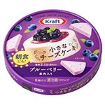 森永 クラフト 小さなチーズケーキ ブルーベリー 90g（6個入）