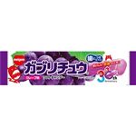 明治 ガブリチュウ グレープ 1本