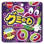 明治 グミのわ 22g