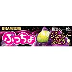 UHA味覚糖 ぷっちょスティック ジューシーぶどう 10粒入