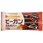 UHA味覚糖 ビーガンカカオバー ローストアーモンド味 1本