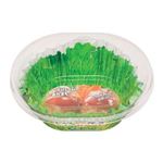 MAアルミニウム レタスケース 14枚