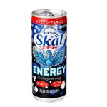 南日本酪農協同 デーリィ スコールエナジー 250ml