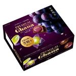 ロッテ プレミアムガーナ フルーツショコラ 完熟巨峰 65g