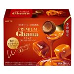 ロッテ プレミアムガーナ トリュフ キャラメルマリアージュ 49g