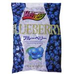 ノースイ 冷凍果実ブルーベリー 500g