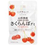全農 ニッポンエール 山形県産さくらんぼグミ 40g