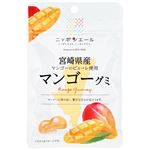 全農 ニッポンエール 宮崎県産マンゴーグミ 40g