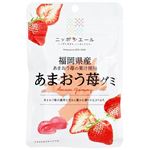 全農 ニッポンエール 福岡県産あまおう苺グミ 40g