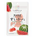 全農 ニッポンエール 熊本県産すいか グミ 40g