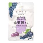 全農 ニッポンエール 岩手県産やまぶどう グミ 40g