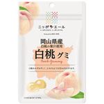 全農 ニッポンエール 岡山県産白桃グミ 40g