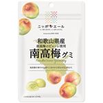 全農 ニッポンエール 和歌山県産南高梅 グミ 40g