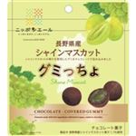 全農 ニッポンエール 長野県産シャインマスカット グミっちょ 35g