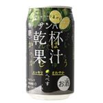 サンA 乾杯果汁 へべす酎ハイ 5％ 350ml