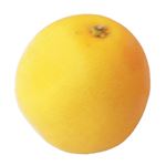 南アフリカ産などの外国産 ジャクソンフルーツ 1個