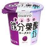 オハヨー きょうの鉄分葉酸ヨーグルト 110g
