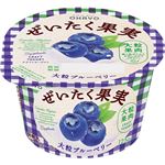 オハヨー ぜいたく果実ヨーグルト 大粒ブルーベリー 125g