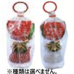 油屋 キラキラスパンコールミニ 2個入