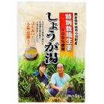 イトク食品 しょうが湯 20g×4袋入