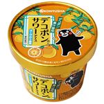 弘乳舎 デコポンサワーアイス 110ml