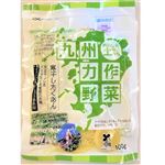 九州力作野菜寒干したくあん 100g