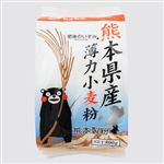 熊本製粉 熊本県産薄力小麦粉 800g