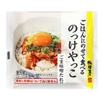 相模屋 ごはんにのせて食べる のっけやっこ ごま味噌たれ付 1食（豆腐300g、たれ23g）