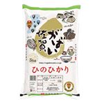 佐賀県食糧 がばい佐賀ひのひかり 5kg※入荷不安定の為品切れする場合がございます。