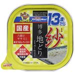 ドギーマンハヤシ 紗 博多地どり 13歳から用 六穀とササミ入り 100g【犬用】